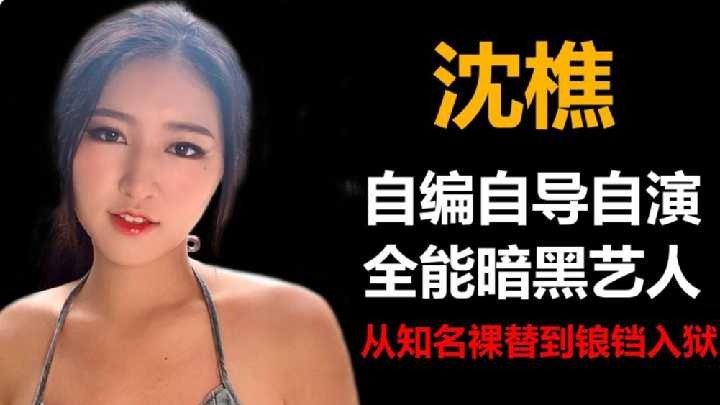 沈樵自编自导自演，全能暗黑艺人海报剧照